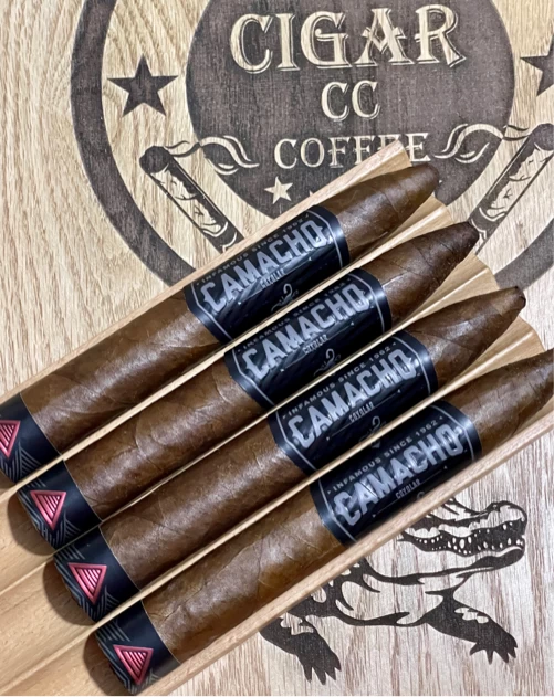 CAMACHO COYOLAR TORO