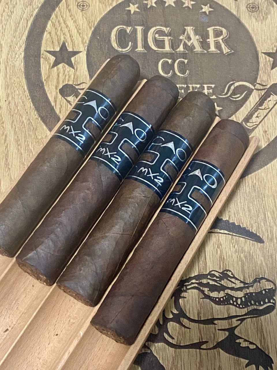 CAO Mx2 Robusto