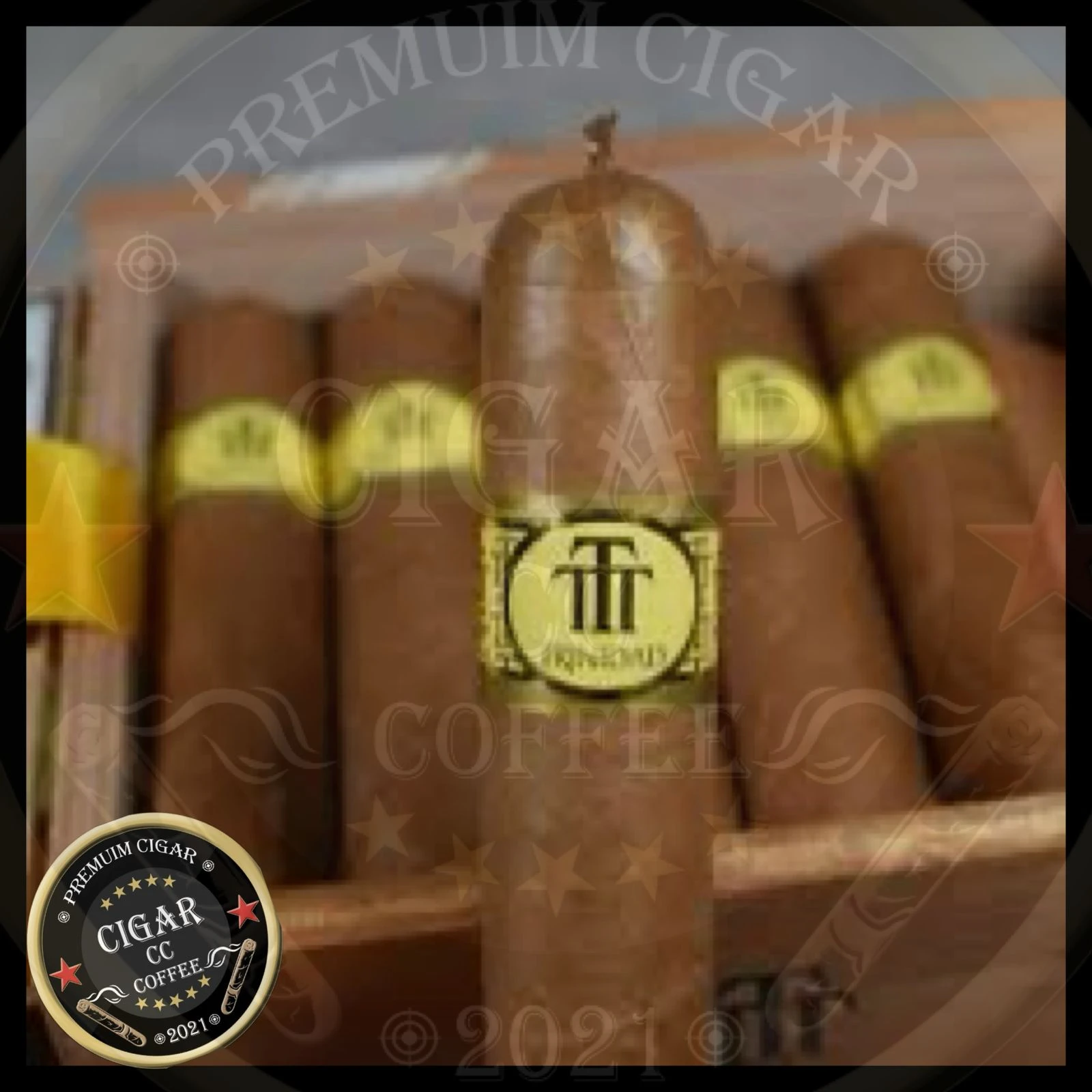 TRINIDAD VIGIA
