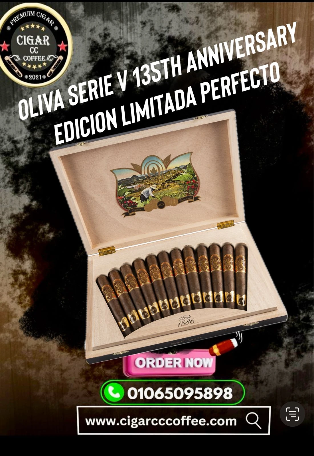 Oliva Serie V 135th Anniversary Limitada Edition Perfecto