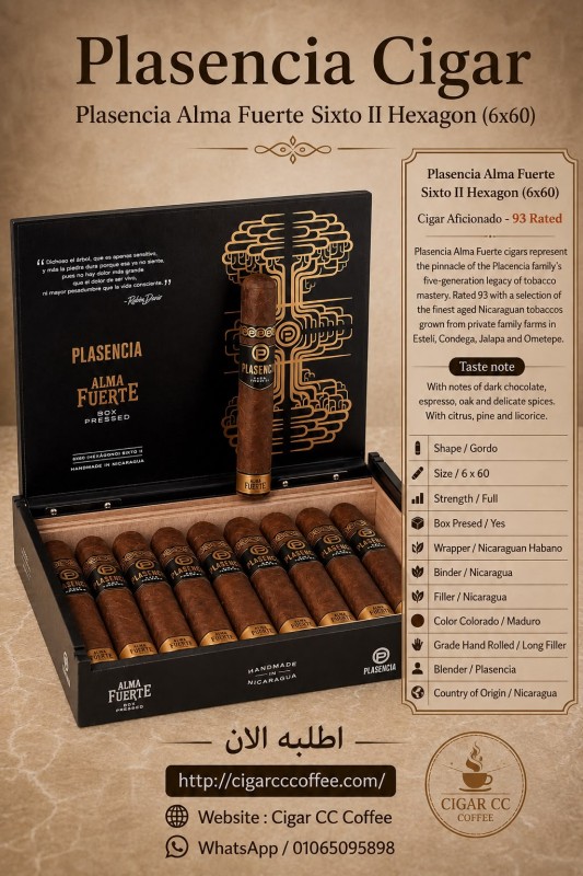 Plasencia Alma Fuerte Sixto II Hexagon (6x60)