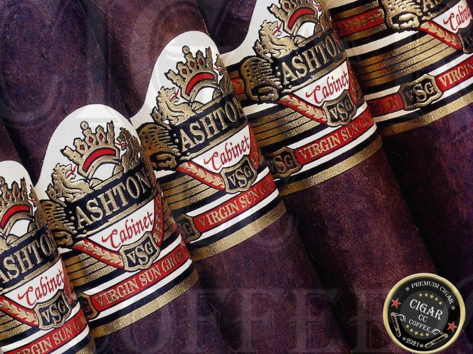 Ashton VSG Robusto